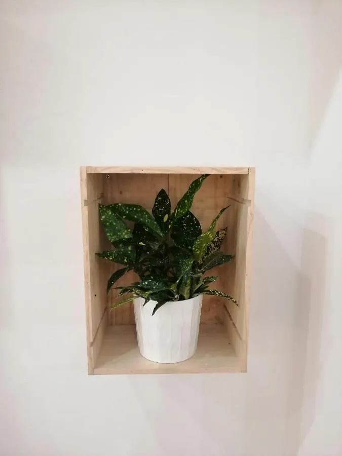 Apartamento Luna De Noviembre Malaga